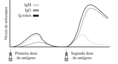 001.png (381×208)