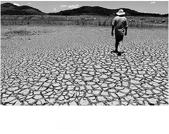 imagem-001.jpg