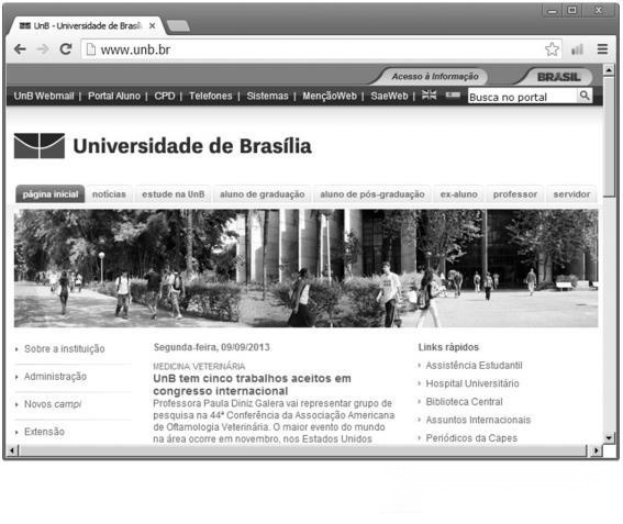 imagem-003.jpg