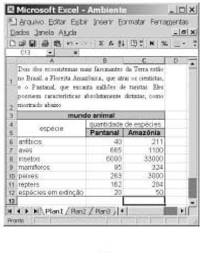 Imagem 008.jpg