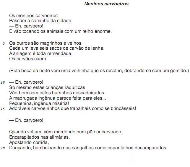 imagem-008.jpg
