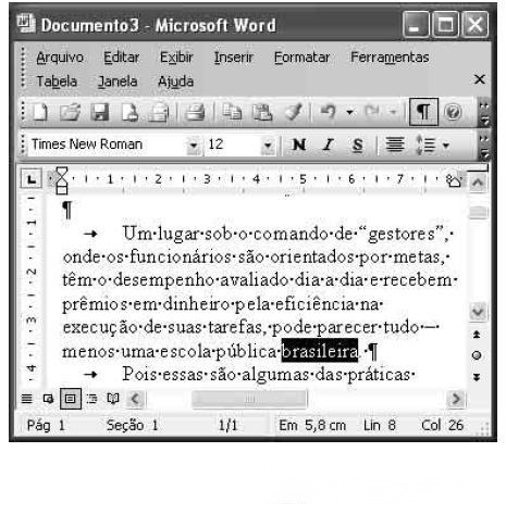 Imagem 032.jpg