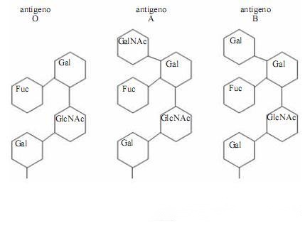 Imagem 001.jpg